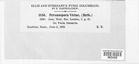 Image Associated With the Occurence